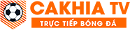 cập nhật dtcl